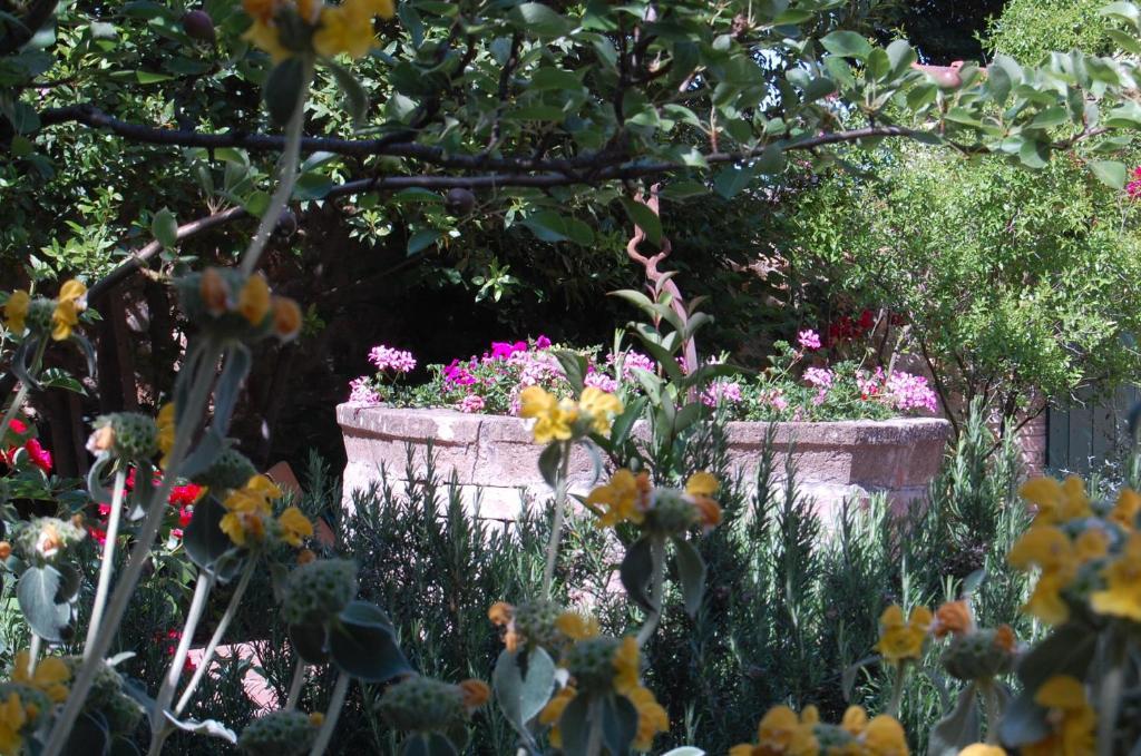 Il Giardino Segreto Hotel Пиенца Екстериор снимка
